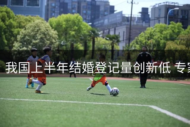 我国上半年结婚登记量创新低 专家警示人口结构双重压力